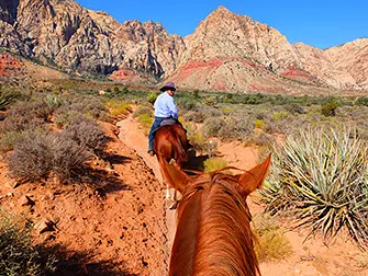 Paardrijden in Red Rock Canyon in Las Vegas