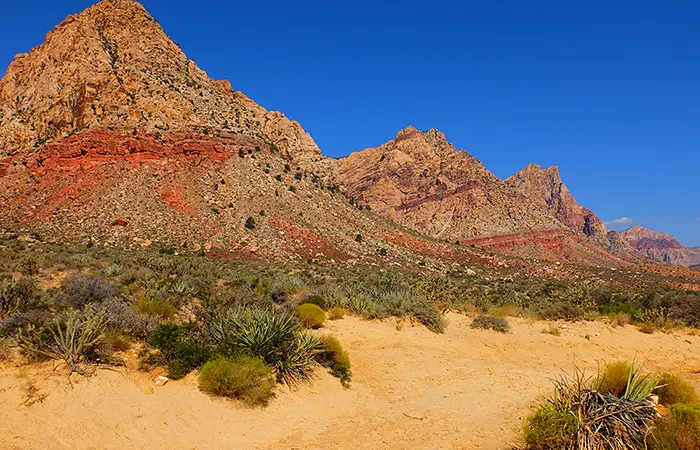Paardrijden in Red Rock Canyon in Las Vegas