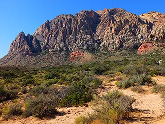 Paardrijden in Red Rock Canyon in Las Vegas