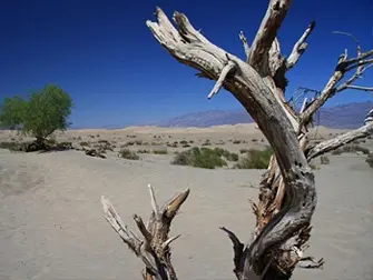 Dagtrip naar Death Valley vanuit Las Vegas