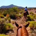 Paardrijden in Red Rock Canyon